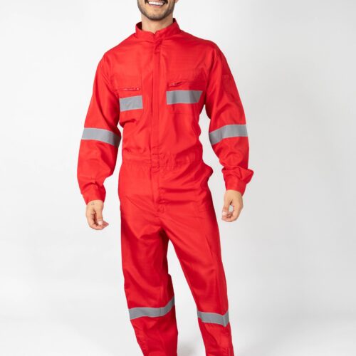 Geological canvas overalls