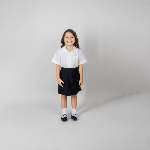 school sKIRT